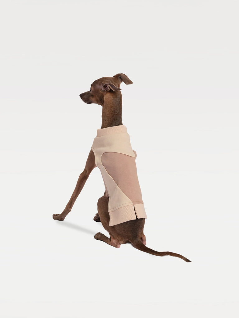 A dog standing facing back in a patchwork sweatshirt