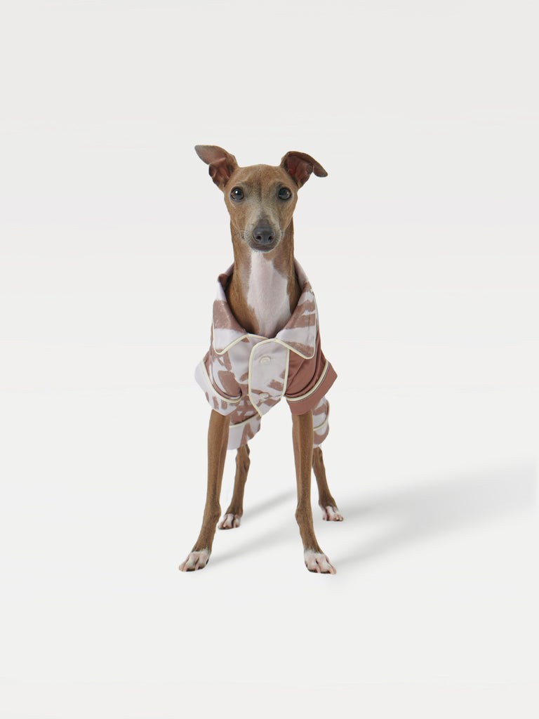 A dog wearing a pajama shirt stands