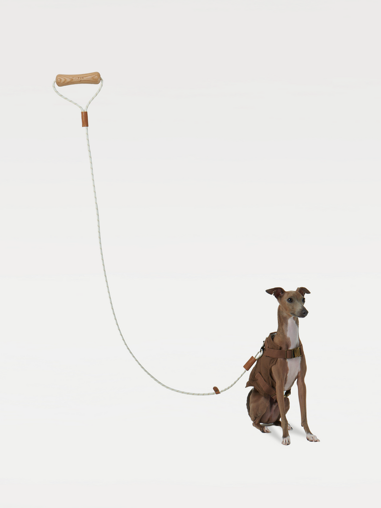 A dog in a brown vest sits and is led by a leash with a handle in the shape of a dog bone