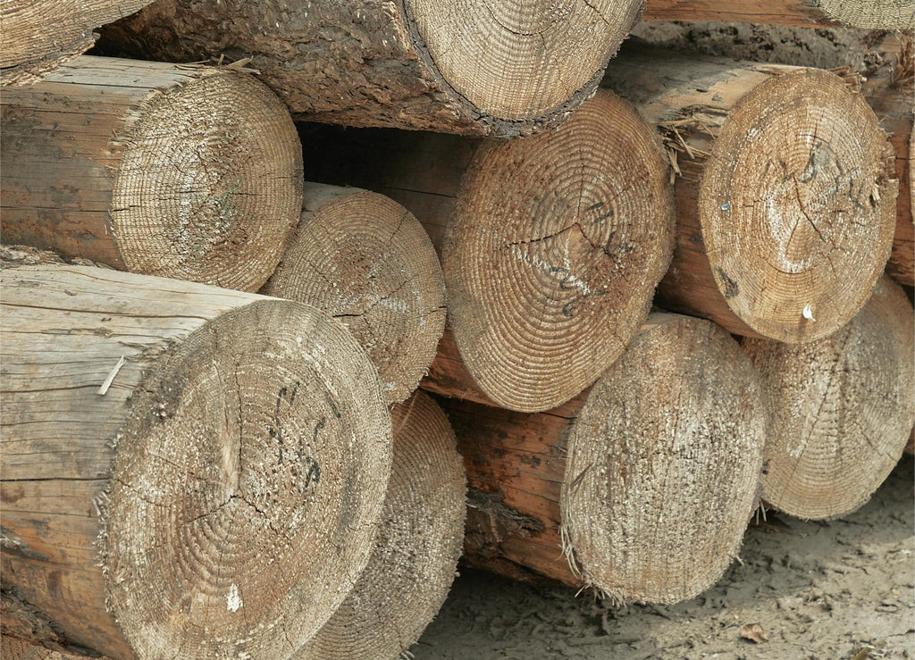 Several logs piled up
