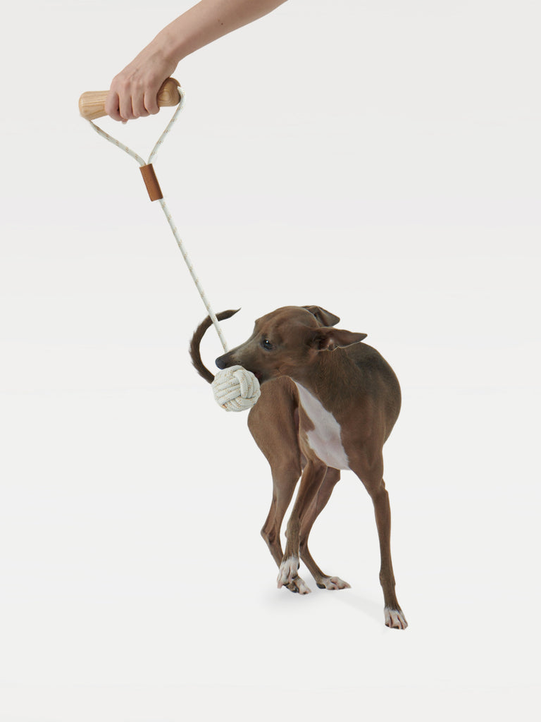 A dog bites a "dog bone" toy that is being lifted by human hands