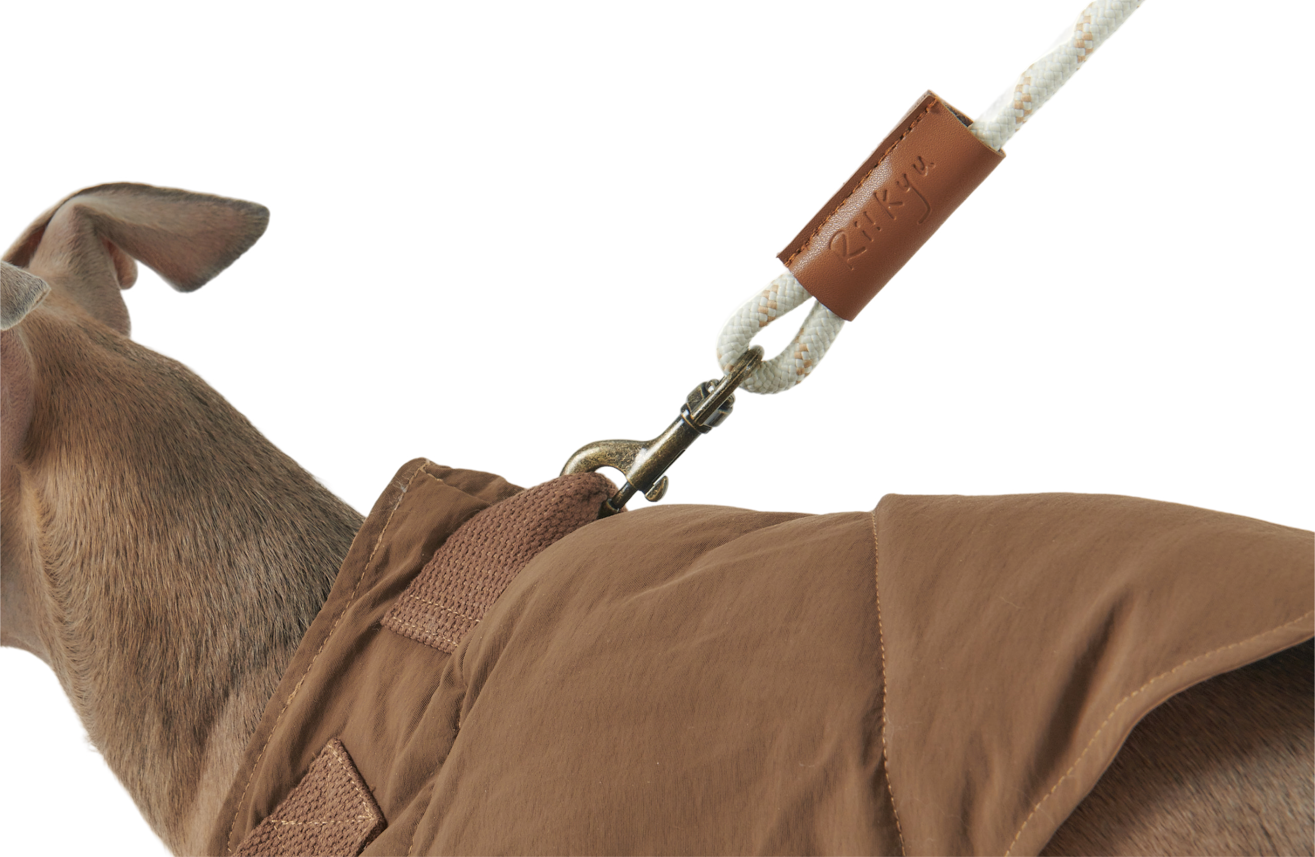 A dog wearing brown paded vest on a leash