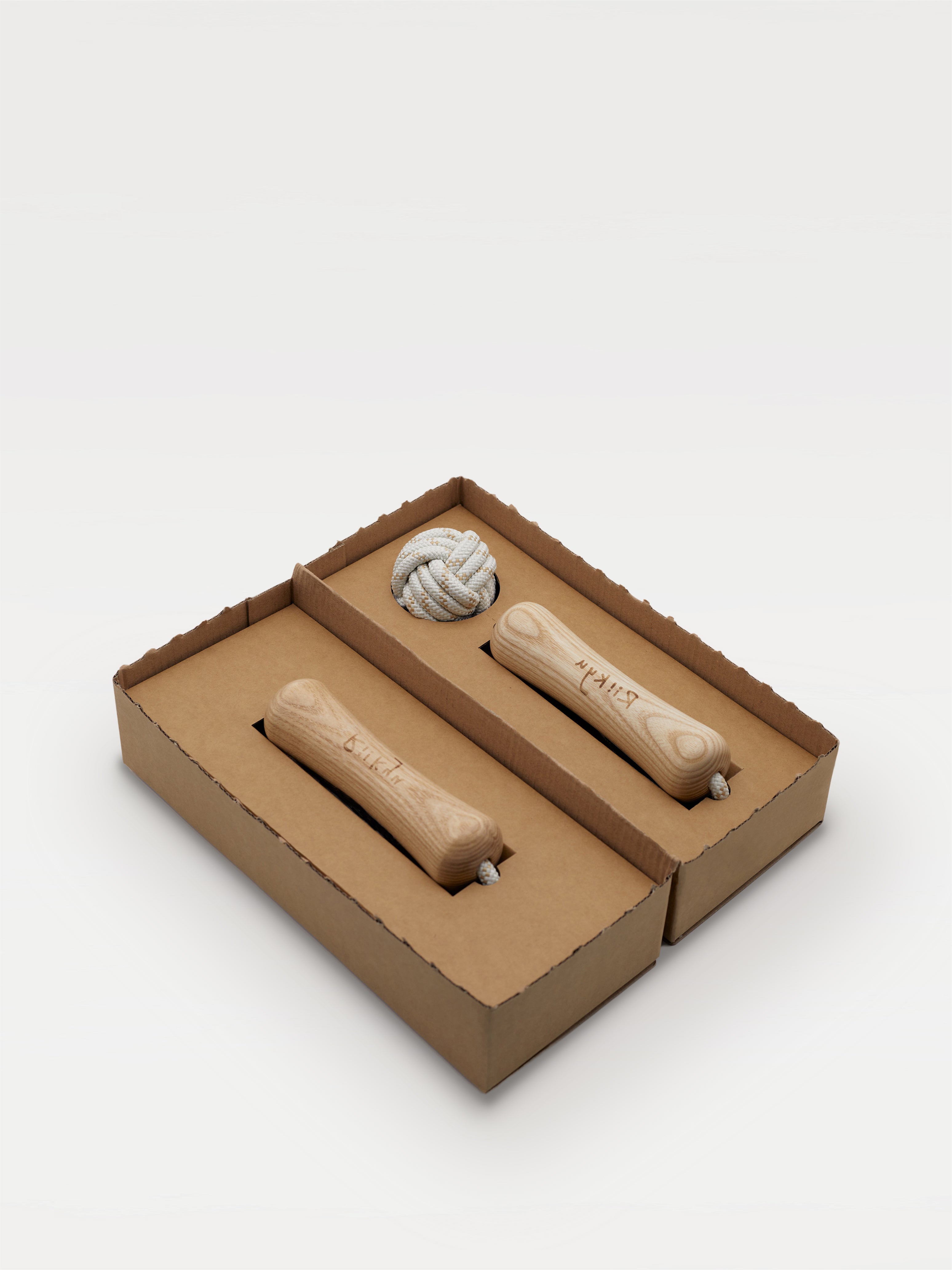 Dog bone toy packaging box