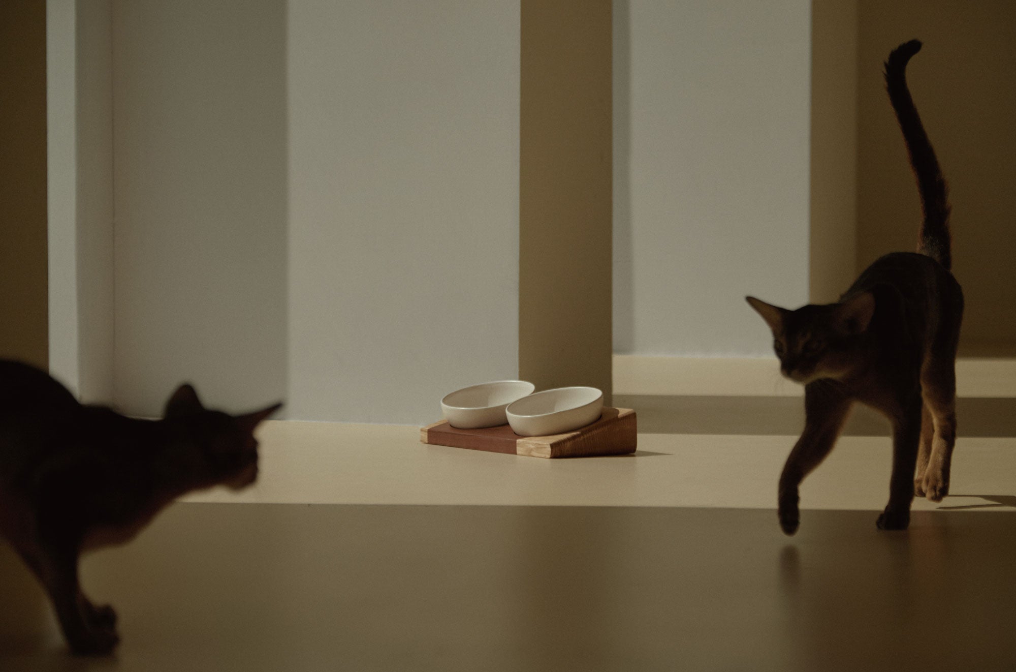 Two cats strolling in front of two bowls on wooden base