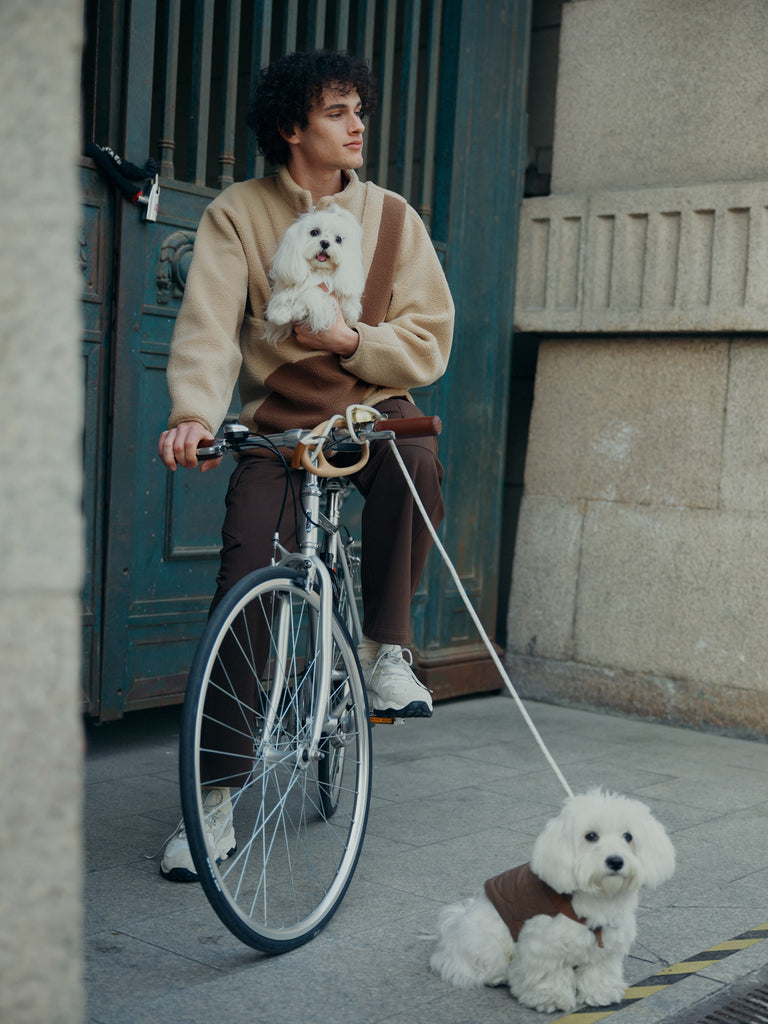 A male model is sitting in a car with a dog in his pouch. And a dog in a brown paded vest is led on a "Pebble" pet leash that fixed on the handlebar.